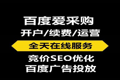 百度竞价广告的投放策略与成功案例分析